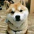 豆友185382582