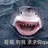 豆友185941331