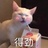 不要熬夜
