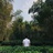 Mike Wang