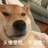 狗子