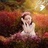 Catherine书妍