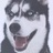 赵晓阔