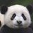 澳洲草原狼