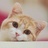 一个小号