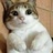 北极小白熊2