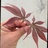 豆友192015295