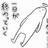 泡泡
