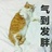 艾华子的瀑布