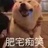 那就1213吧