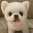 豆友196444062