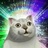 南墙下的猪