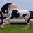 DreamMaker