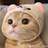 豆包是只橘猫
