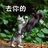 小橘子🍃