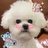 KOKI