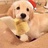 kevin