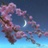 水兵水星
