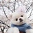 阳仔sunny