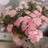 豆友200865173