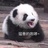 Yuanyuan_