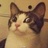 miao~