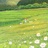 霁月