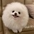 听风者