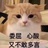芒果小哥哥