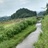 绿水青山