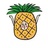 Z🍍