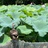 另辟蹊径