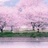有机教育~李英花