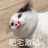 123