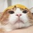 楼上小何