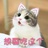 养猫小能手