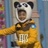 野生小黄
