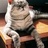 猫少爷