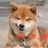 豆友206656470