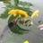 浪尖起舞