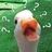 憨憨