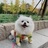 吃可爱长大的小