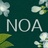 Noa夜茉莉