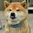 孤～狗
