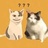 豆友214252414