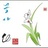 方林林