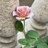 https://img2.doubanio.com/icon/u218999917-1.jpg