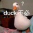 duck不必