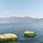 浮生未歇