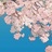 『夢中遊行。』